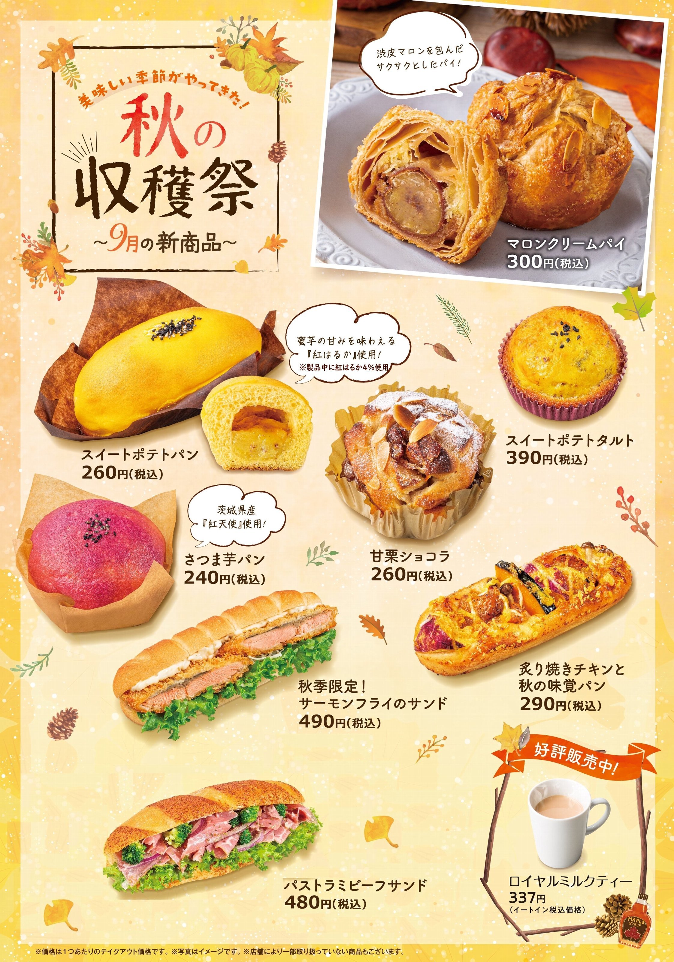 9月新商品をご紹介します！！